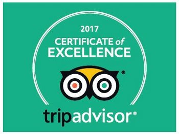 TripAdvisor CoE 2017