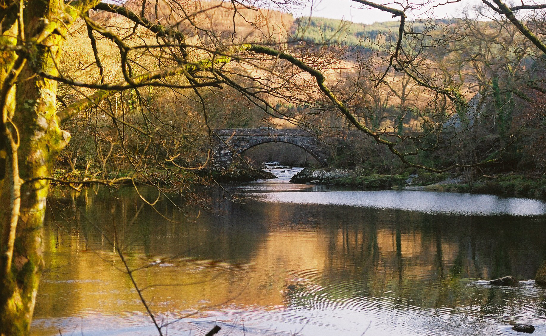 Beaver Pool