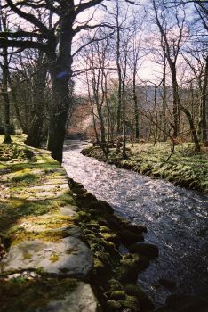 River conwy2